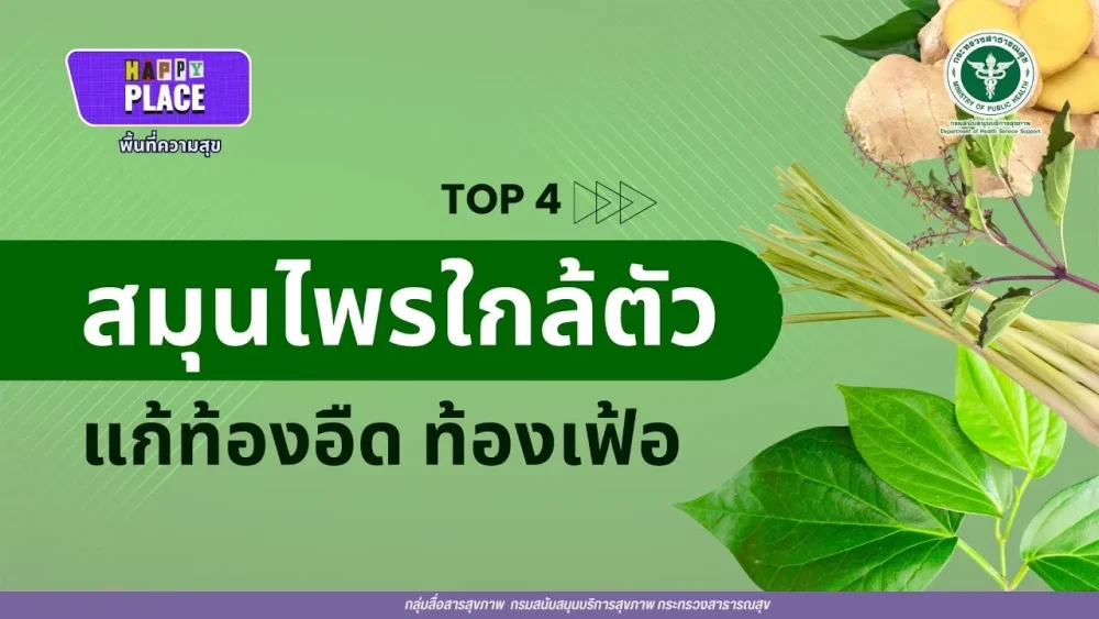 สมุนไพรใกล้ตัว แก้ท้องอืด ท้องเฟ้อ