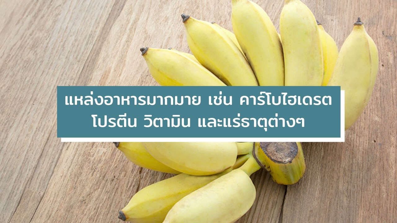 ตอนที่ 16 ผลไม้หน้าฝน รสชาติอร่อย ร้อยประโยชน์