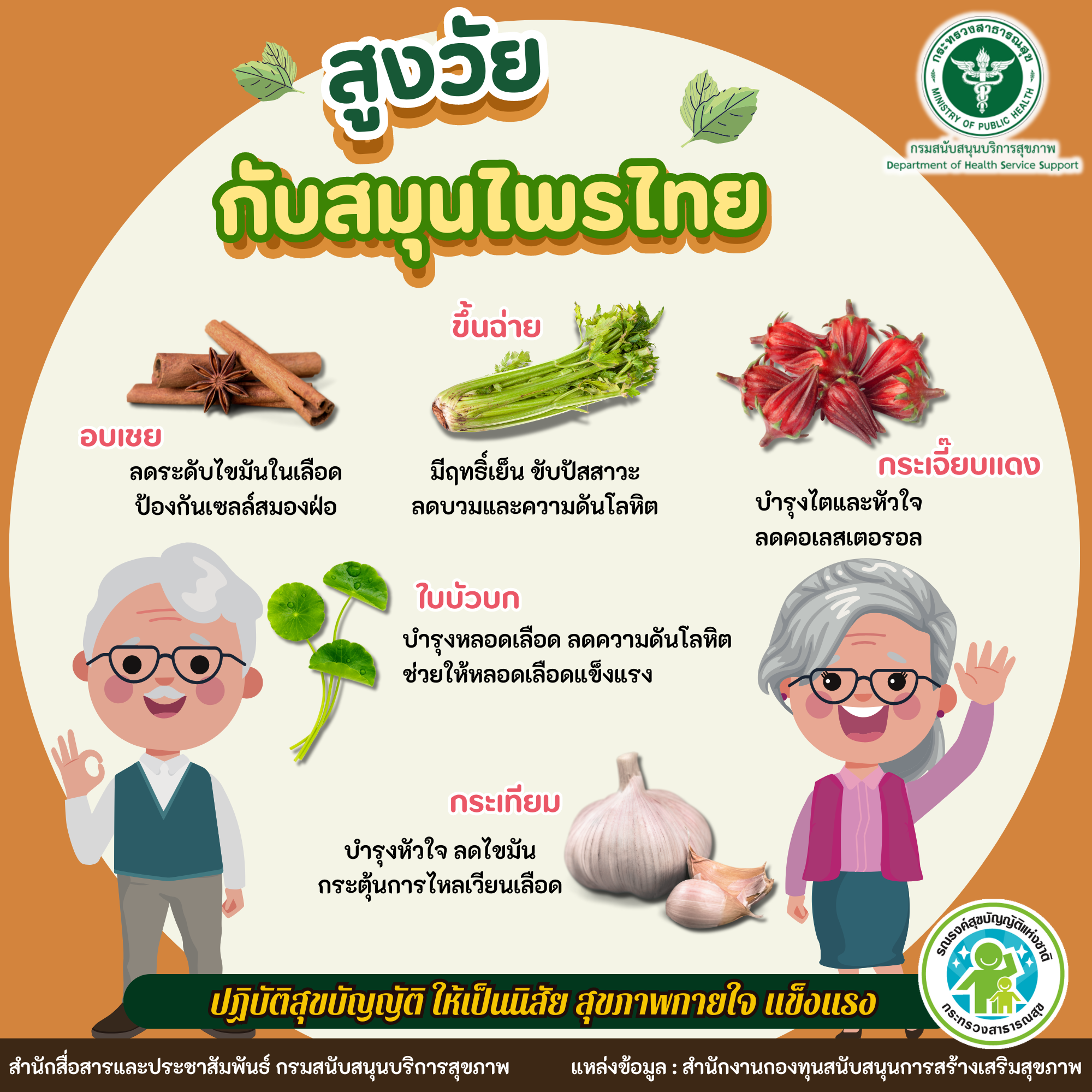 สูงวัยกับสมุนไพรไทย