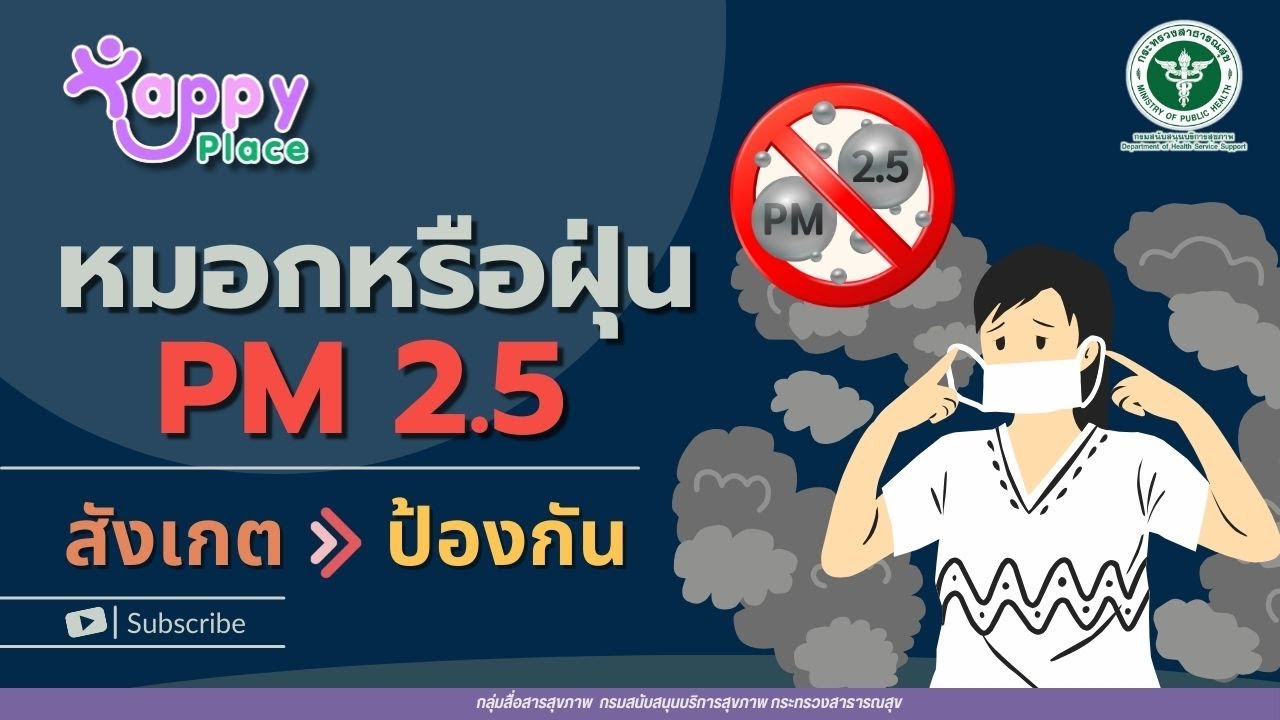 หมอกหรือฝุ่น PM 2.5 