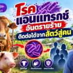 สำนักสื่อสารและประชาสัมพันธ์